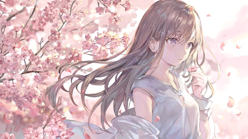 热播2